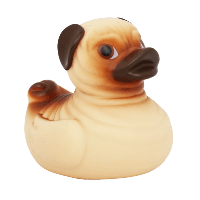 Pug Duck6