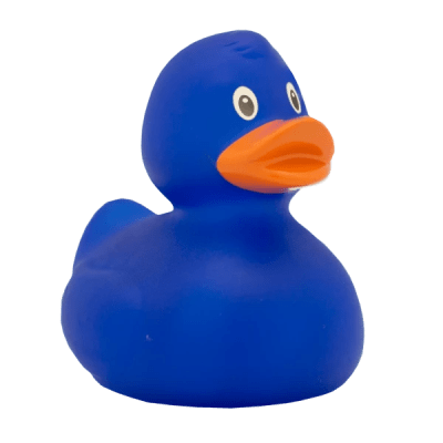 Blue Duck