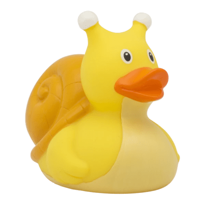 Snail Duck6