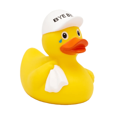 Bye Bye Duck