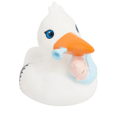 Stork Duck With Baby