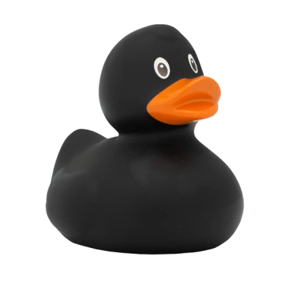 Black Duck