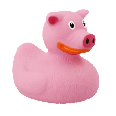 Pig Duck