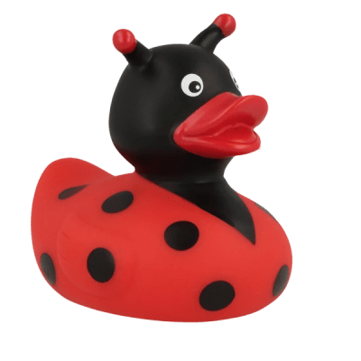 Ladybug Duck