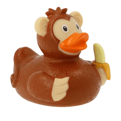 Monkey Duck12