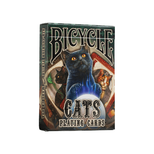 BICYCLE7