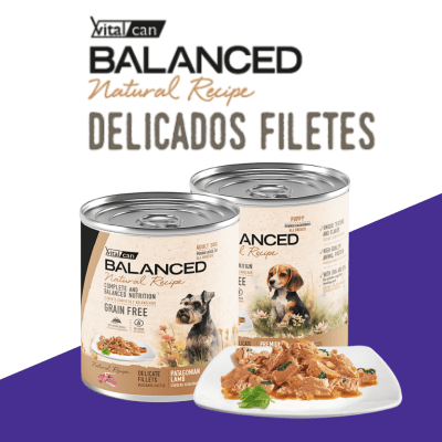 PRESENTAMOS ALIMENTO HÚMEDO | BALANCED NATURAL RECIPE