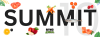 SUMMIT 10