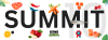 SUMMIT 10