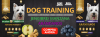 DOG TRAINING