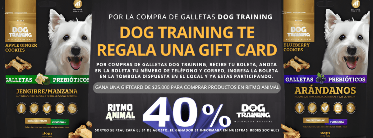 DOG TRAINING