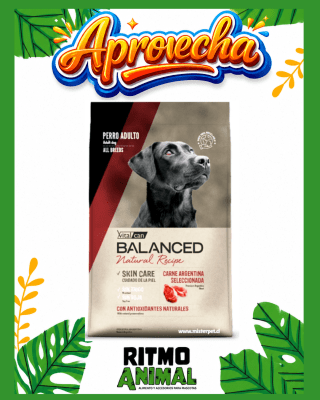 B. NATURAL RECIPE PERRO CARNE ARGENTINA