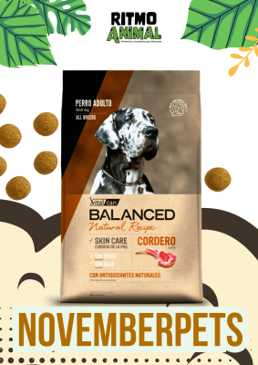 B. NATURAL RECIPE PERRO CORDERO