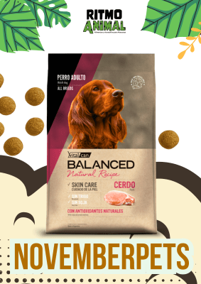 B. NATURAL RECIPE PERRO CERDO