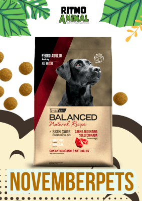 B. NATURAL RECIPE PERRO CARNE ARGENTINA