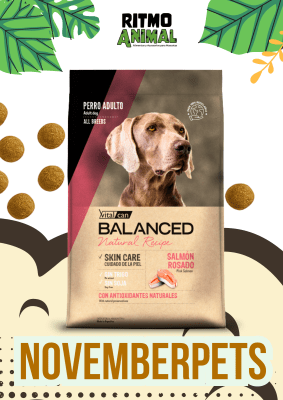 B. NATURAL RECIPE PERRO SALMON ROSADO