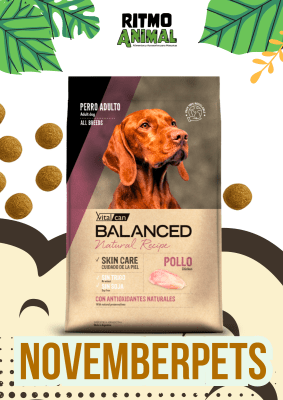 B. NATURAL RECIPE PERRO POLLO