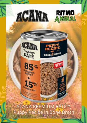 LATA ACANA PATÉ PREMIUM