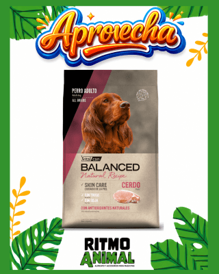 B. NATURAL RECIPE PERRO CERDO