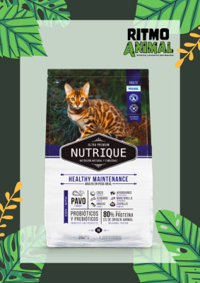 NUTRIQUE GATO ADULTO HEALTHY MAINTENANCE