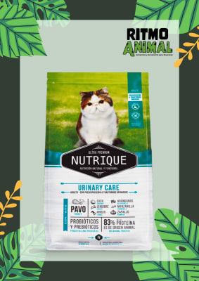 NUTRIQUE GATO ADULTO URINARY CARE