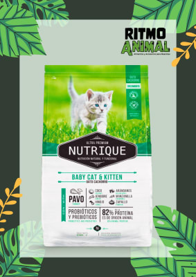 NUTRIQUE GATO CACHORRO BABY CAT & KITTEN