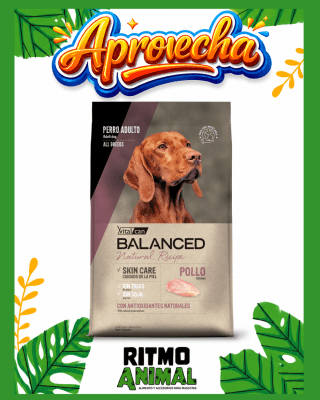 B. NATURAL RECIPE PERRO POLLO