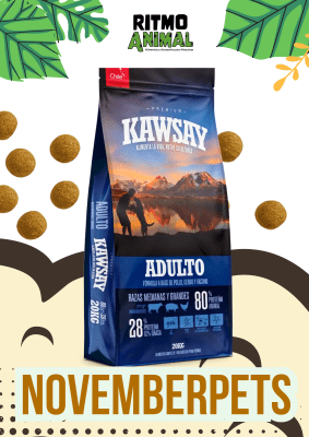 KAWSAY PERRO ADULTO