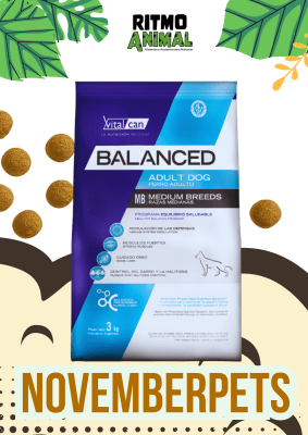 BALANCED PERRO ADULTO RAZA MEDIANA