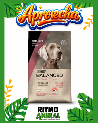 B. NATURAL RECIPE PERRO SALMON ROSADO