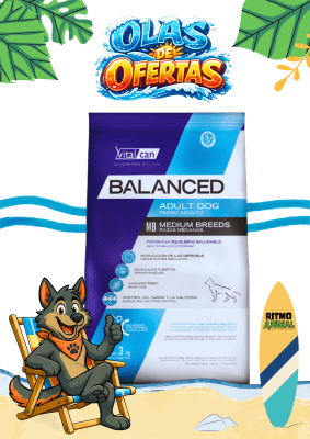 BALANCED PERRO ADULTO RAZA MEDIANA