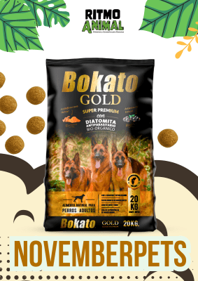 BOKATO GOLD