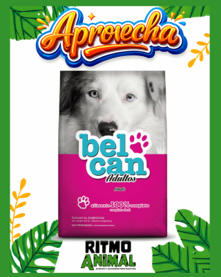 BELCAN PERRO ADULTO