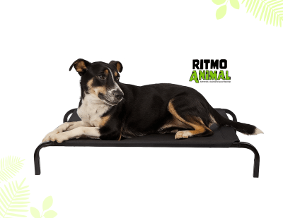 CAMA ELEVADA METALICA | VERANO