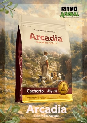 ARCADIA PERRO CACHORRO