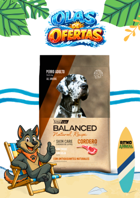 B. NATURAL RECIPE PERRO CORDERO