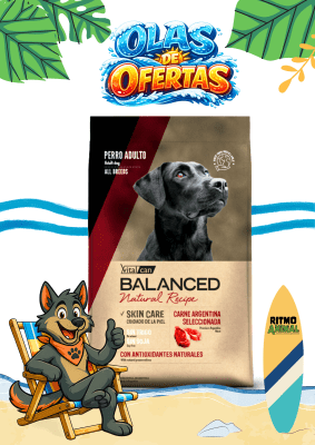 B. NATURAL RECIPE PERRO CARNE ARGENTINA