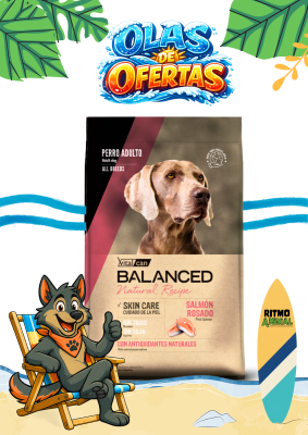 B. NATURAL RECIPE PERRO SALMON ROSADO