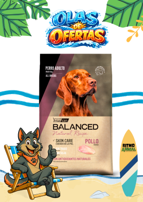 B. NATURAL RECIPE PERRO POLLO