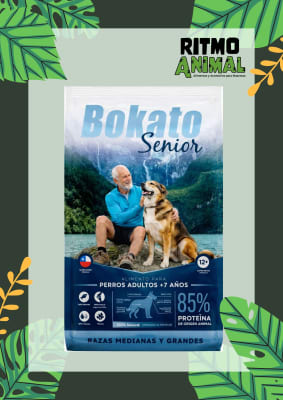 BOKATO SENIOR RAZA MEDIANA Y GRANDE
