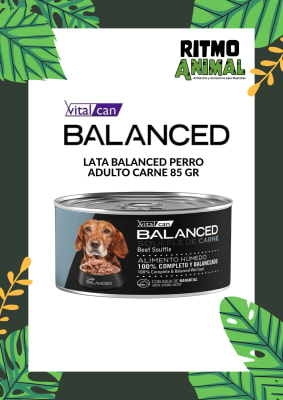 LATA BALANCED PERRO ADULTO CARNE