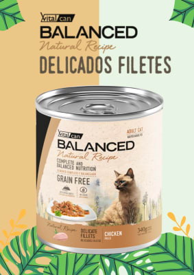 LATA GATO ADULTO B. NATURAL RECIPE CHICKEN