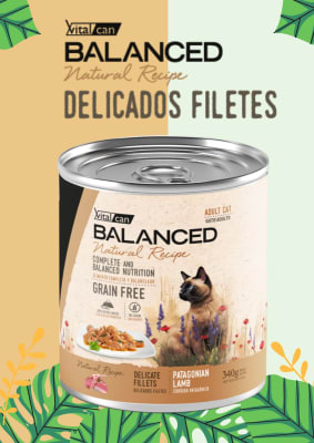 LATA GATO ADULTO B. NATURAL RECIPE PATAGONIAN LAMB