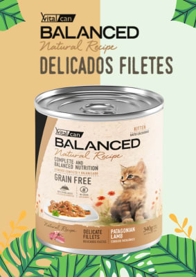 LATA GATO CACHORRO B. NATURAL RECIPE PATAGONIAN LAMB