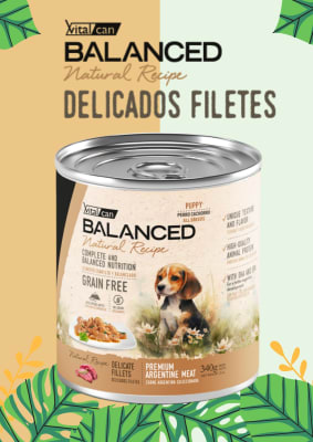 LATA PERRO CACHORRO B. NATURAL RECIPE / CARNE ARG.
