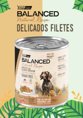 LATA PERRO ADULTO B. NATURAL RECIPE / SALMON & CORDERO PATAG