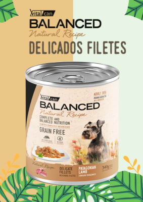 LATA PERRO ADULTO B. NATURAL RECIPE / CORDERO PATAGONICO