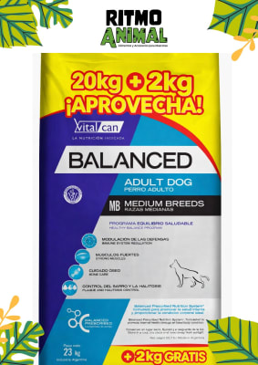 BALANCED PERRO ADULTO RAZA MEDIANA