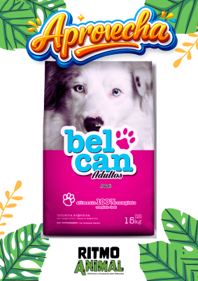 BELCAN PERRO ADULTO