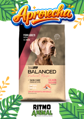 B. NATURAL RECIPE PERRO SALMON ROSADO